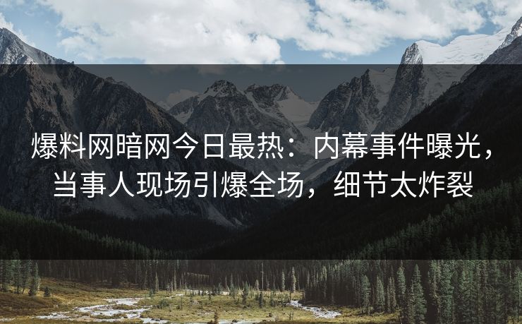 爆料网暗网今日最热:内幕事件曝光,当事人现场引爆全场,细节太炸裂