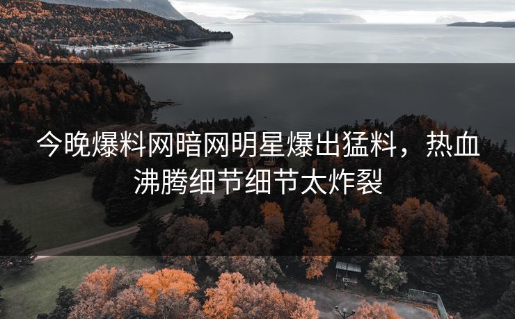 今晚爆料网暗网明星爆出猛料，热血沸腾细节细节太炸裂