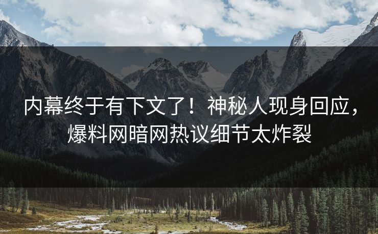 内幕终于有下文了！神秘人现身回应，爆料网暗网热议细节太炸裂