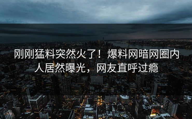 刚刚猛料突然火了！爆料网暗网圈内人居然曝光，网友直呼过瘾