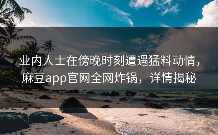 业内人士在傍晚时刻遭遇猛料动情,麻豆app官网全网炸锅,详情揭秘